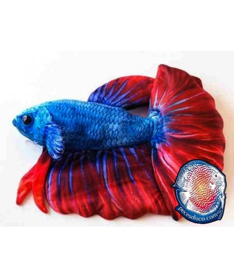 Betta Peluche