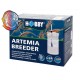 HOBBY CRIADOR ARTEMIA