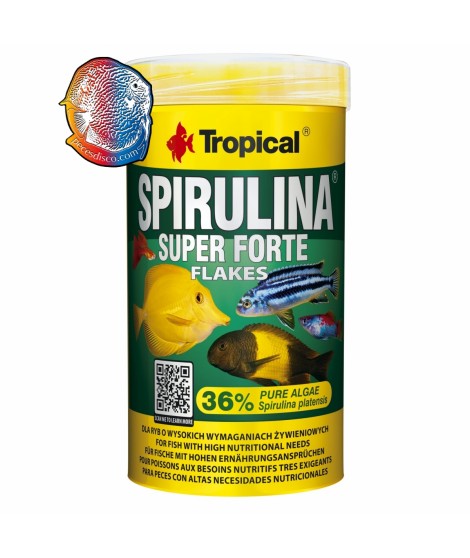 Spirulina Flakes Super Forte