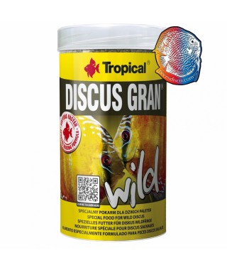 DISCUS GRAN WILD