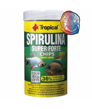 Spirulina Flakes