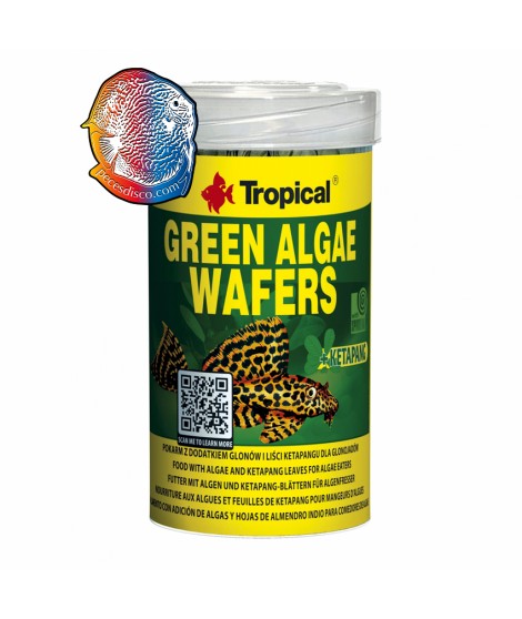 Green Algae Wafers