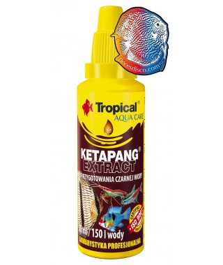 Ketapang Extract