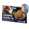 HOJAS DE CATAPPA XL 12 PIEZAS