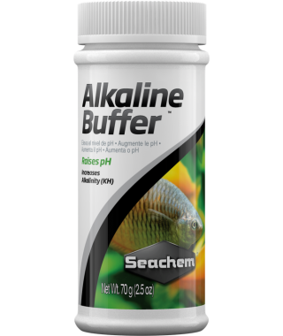 Alkaline Buffer