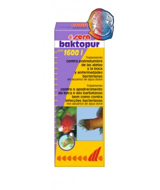 Baktopur