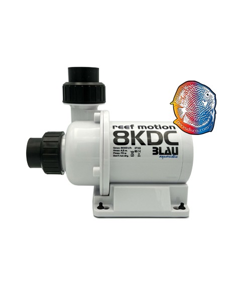 Reef Motion 8KDC