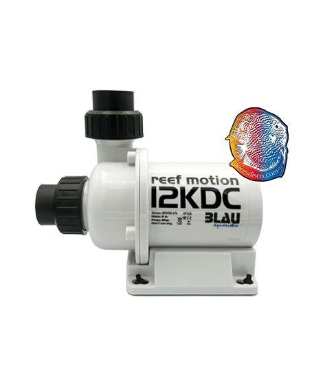 Reef Motion 12KDC
