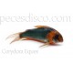 Corydora Eques Wild  - Talla XLG