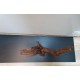 Driftwood Talla L - Conjunto 2 unidades