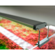 Serie B - 120cm