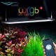 WRGB II