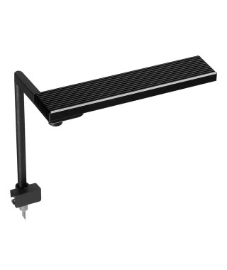 CII RGB
