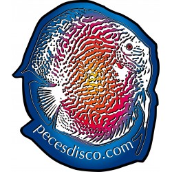 Peces Disco S.L.