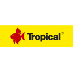 TROPICAL